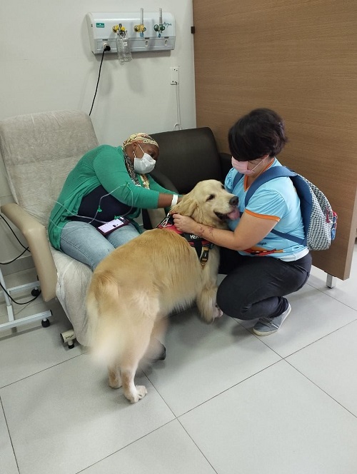 'Pets da Alegria' levam descontração para pacientes do CAON de Ribeirão Preto