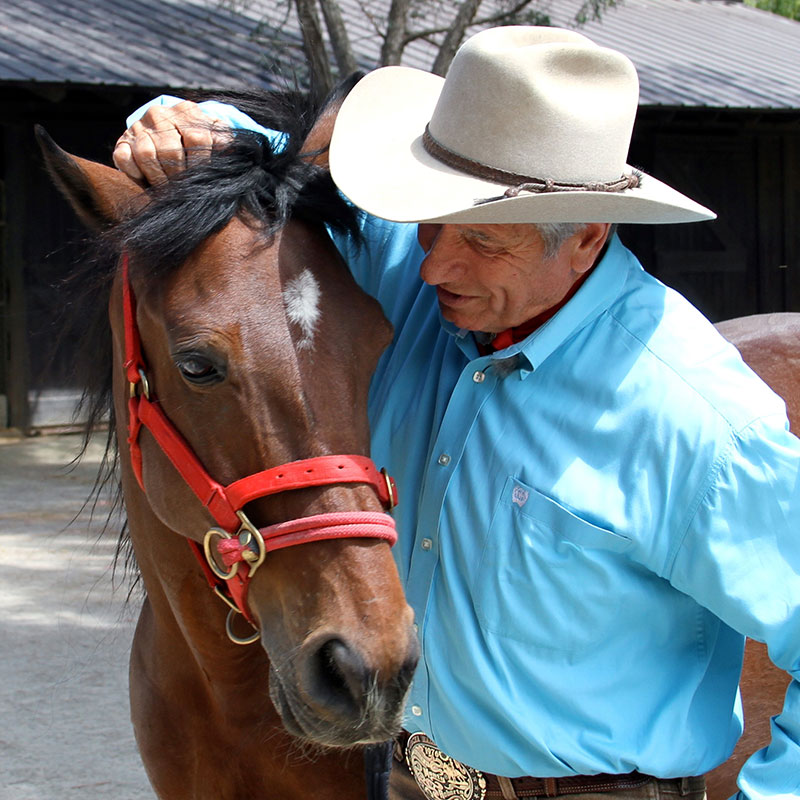 Monty Roberts, o Encantador de Cavalos, é atração especial da 68ª Festa do Peão de Barretos